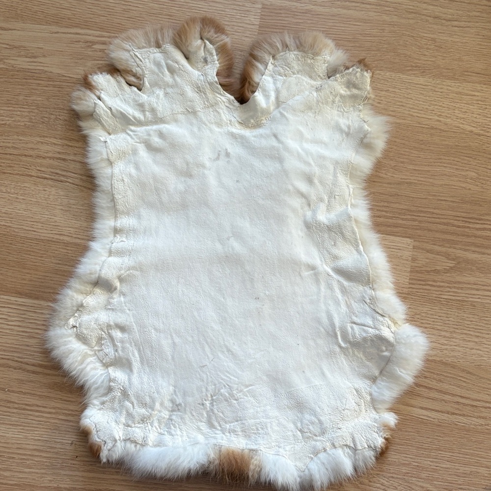 #0323 rabbit pelt - Picture 4 of 4